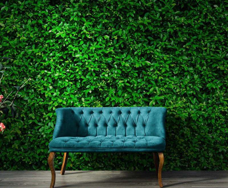 Greenery Grass Background Wallpaper Mural.