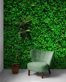 Greenery Grass Background Wallpaper Mural.