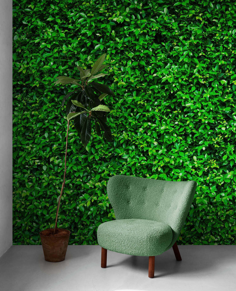 Greenery Grass Background Wallpaper Mural.