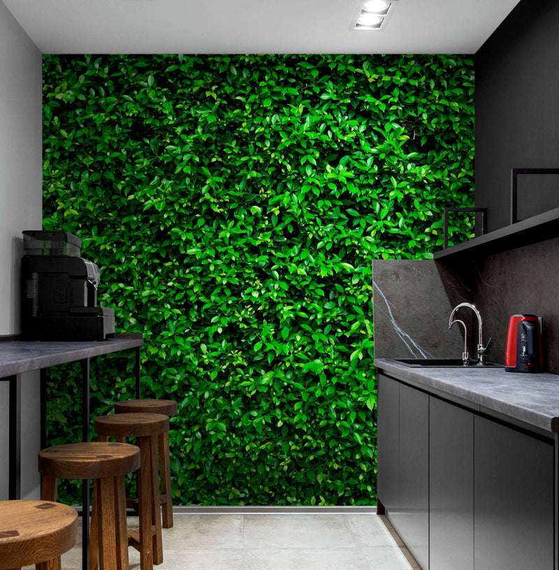 Greenery Grass Background Wallpaper Mural.