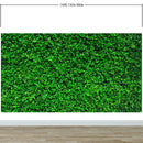 Greenery Grass Background Wallpaper Mural.