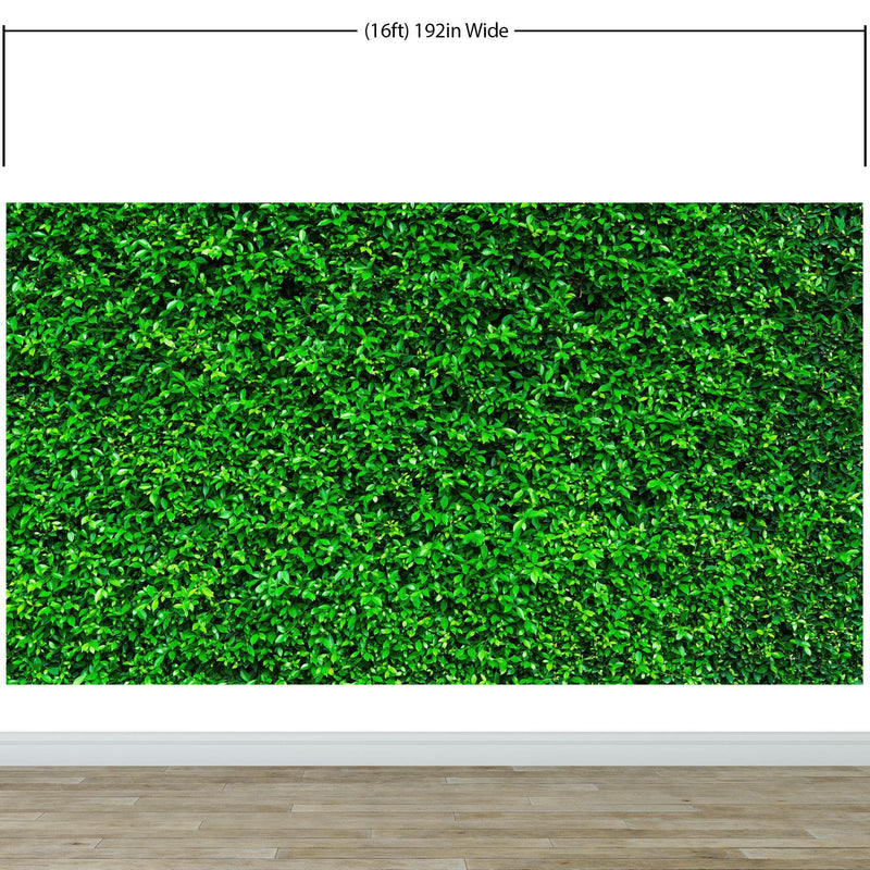 Greenery Grass Background Wallpaper Mural.