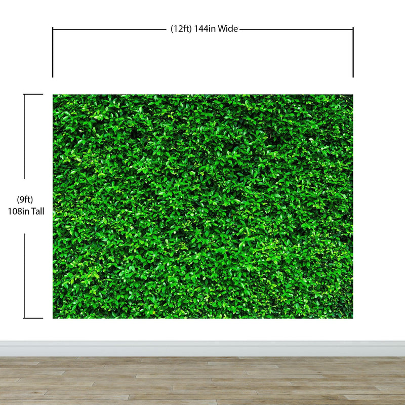 Greenery Grass Background Wallpaper Mural.