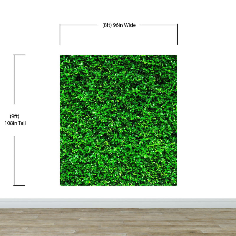 Greenery Grass Background Wallpaper Mural.