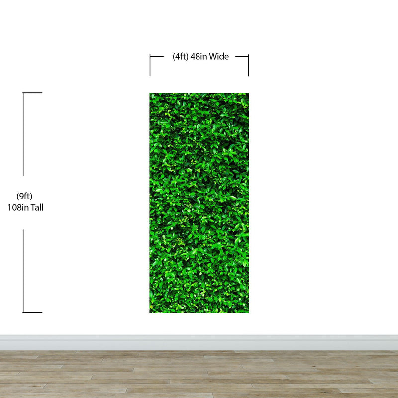 Greenery Grass Background Wallpaper Mural.