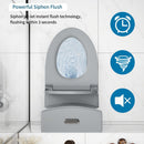 1 Piece Toilet With Tornado Flush, Dual Flush, And ADA Height Comfort Chair by HouseOfZazla