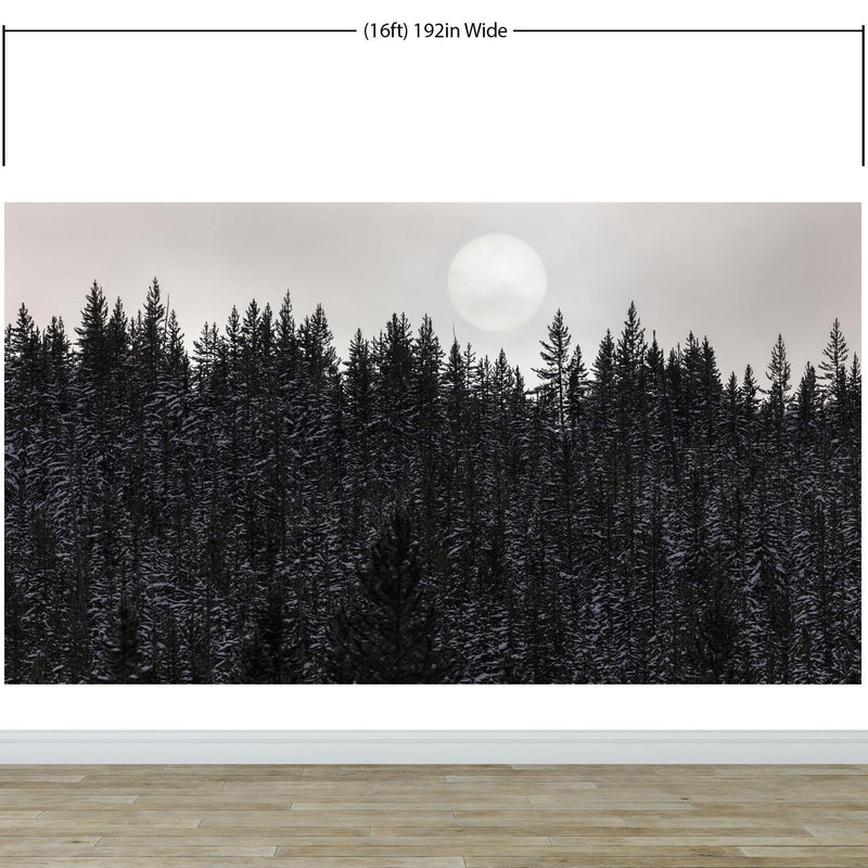 Foggy Forest Wall Mural. Peel and Stick Wallpaper. Monotone Grey Nature Wallpaper. Rain Forest Wall Mural.