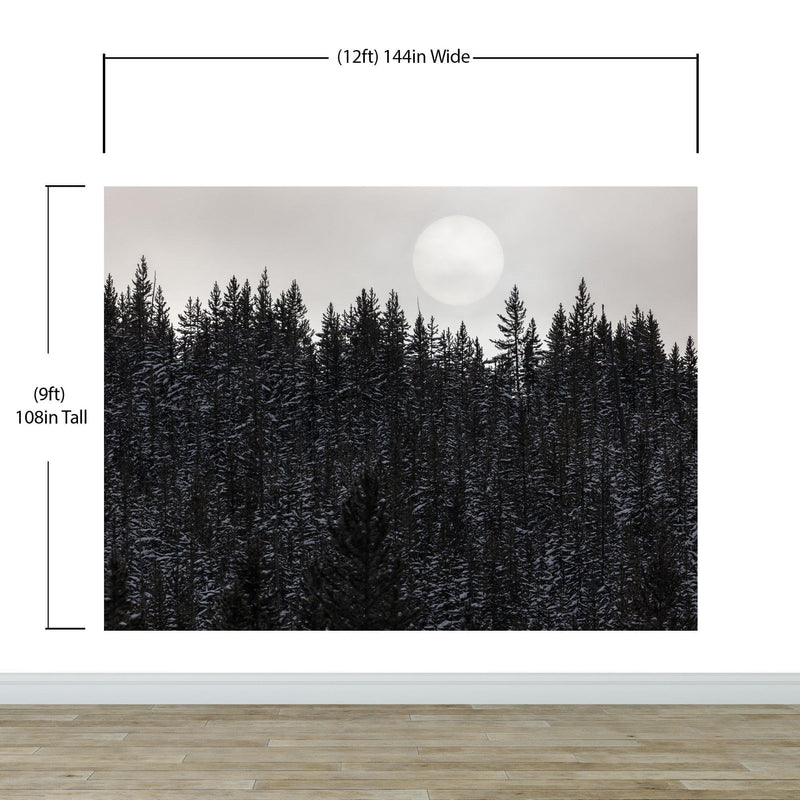 Foggy Forest Wall Mural. Peel and Stick Wallpaper. Monotone Grey Nature Wallpaper. Rain Forest Wall Mural.