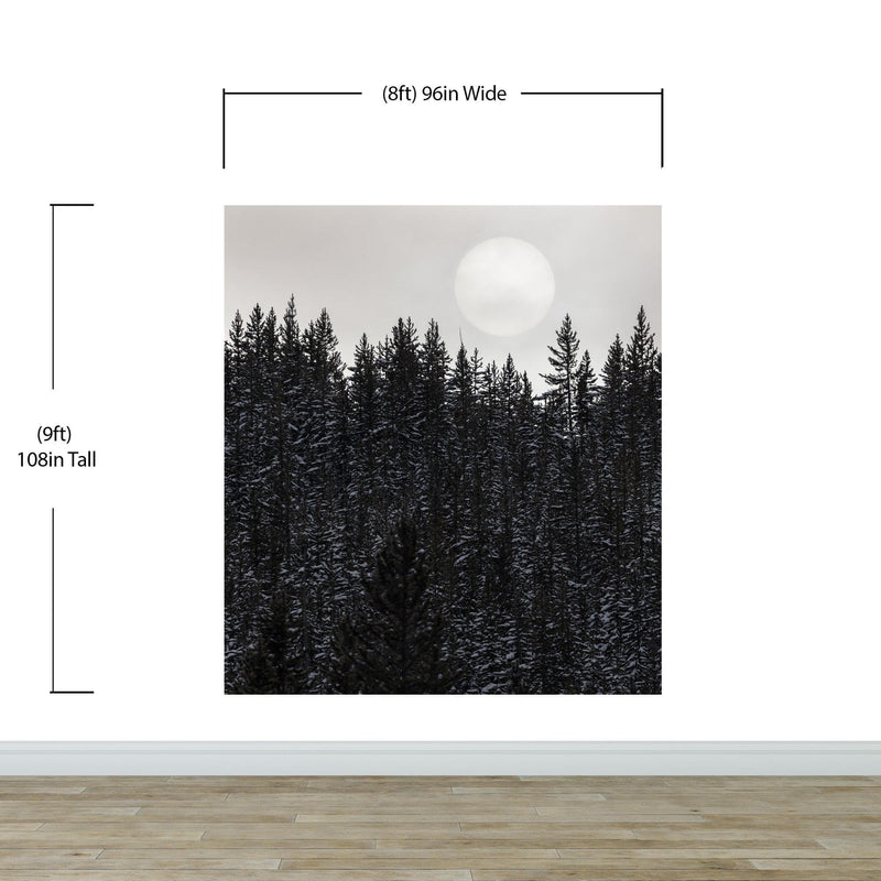 Foggy Forest Wall Mural. Peel and Stick Wallpaper. Monotone Grey Nature Wallpaper. Rain Forest Wall Mural.