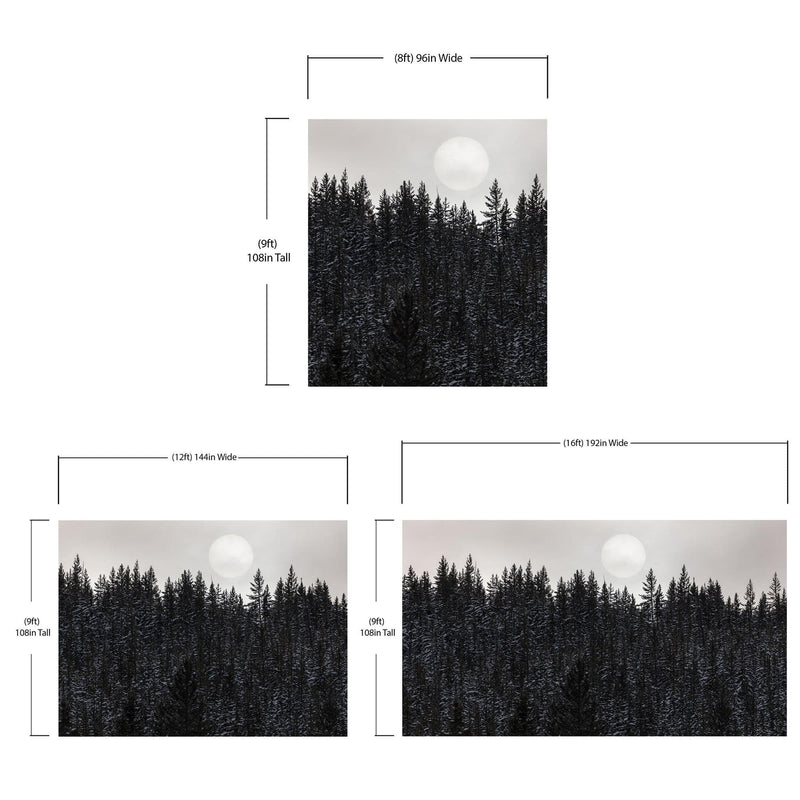 Foggy Forest Wall Mural. Peel and Stick Wallpaper. Monotone Grey Nature Wallpaper. Rain Forest Wall Mural.