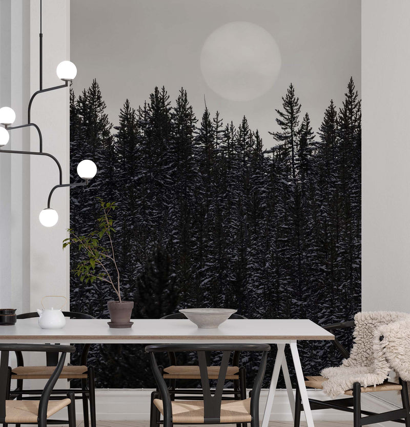 Foggy Forest Wall Mural. Peel and Stick Wallpaper. Monotone Grey Nature Wallpaper. Rain Forest Wall Mural.