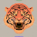 Asian Tiger Wallpaper Peel and Stick Wall Mural.