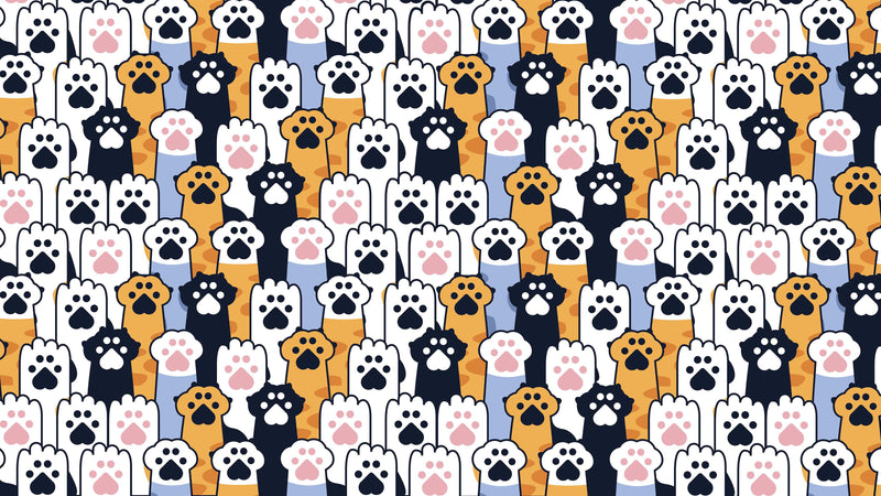 Cat Paws Pattern Wallpaper - Adorable Decor for Kid's and Nursery Rooms