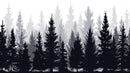 Black and White Pine Tree Forest Wallpaper.