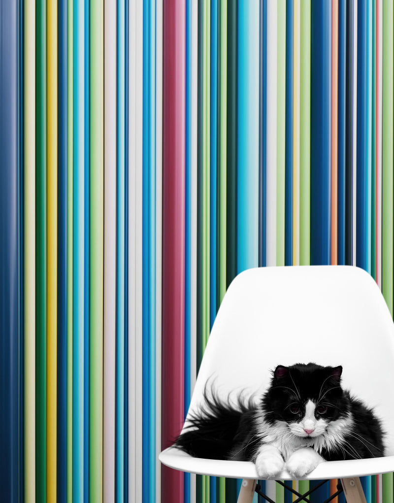 Vertical Line Color Stripes Wallpaper. Bright Rainbow Color Lines Wall Mural.