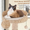 59 Inches Cat Tree with Perch and Soft Hammock for Indoor Cats-Beige by LJGDeals