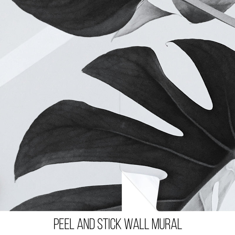 Elegant Black and White Leaves Wallpaper Mural - Serene Botanical Beauty