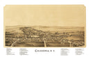 Vintage Map of Caledonia, New York 1892