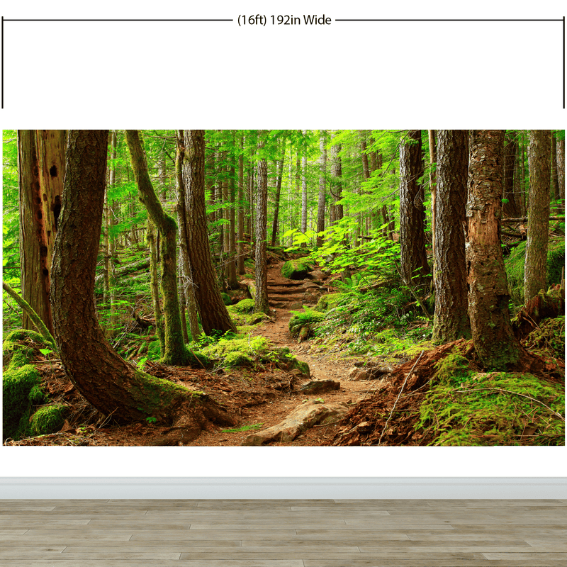 Green Forest Woodland Wall Mural – Nature's Embrace Peel and Stick Wallpaper