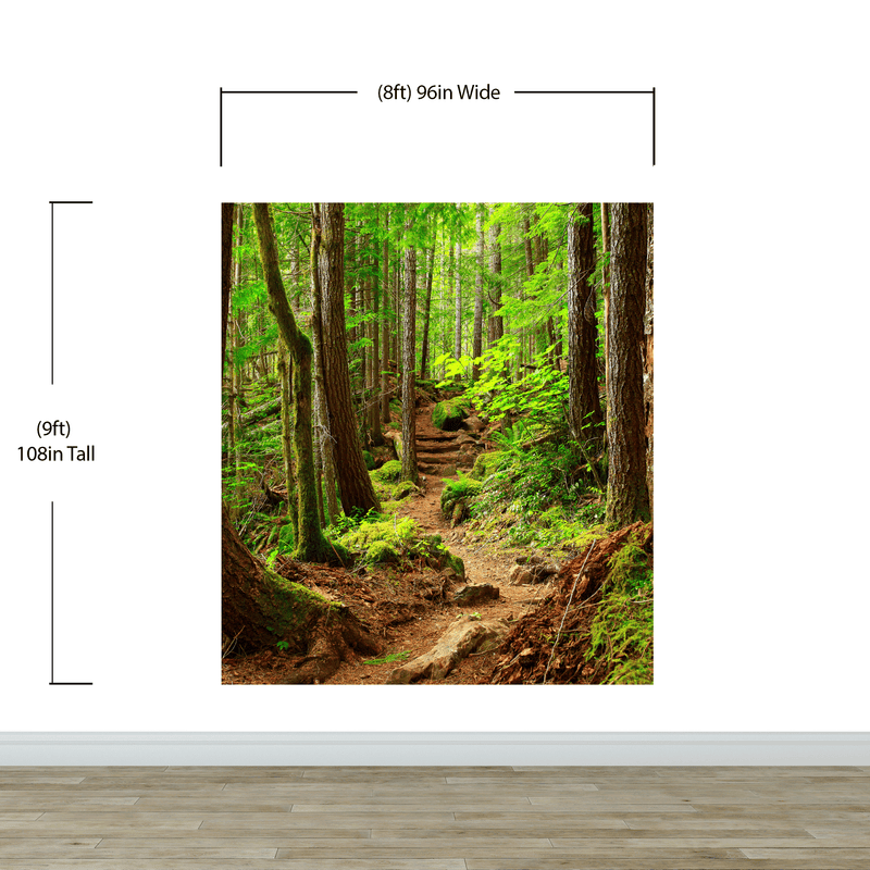 Green Forest Woodland Wall Mural – Nature's Embrace Peel and Stick Wallpaper