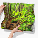 Green Forest Woodland Wall Mural – Nature's Embrace Peel and Stick Wallpaper
