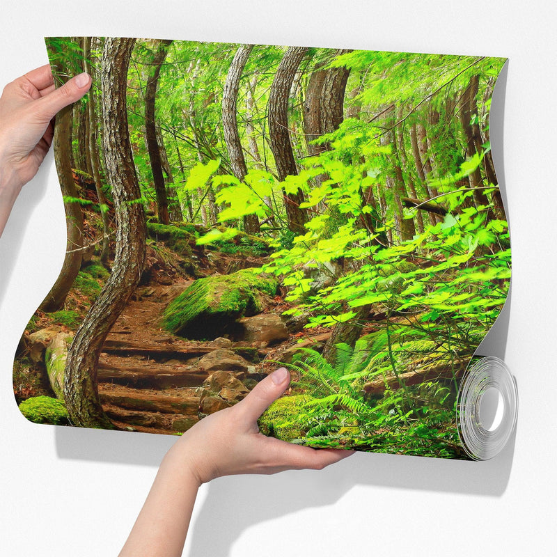 Green Forest Woodland Wall Mural – Nature's Embrace Peel and Stick Wallpaper