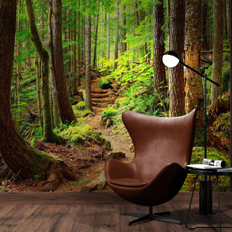 Green Forest Woodland Wall Mural – Nature's Embrace Peel and Stick Wallpaper