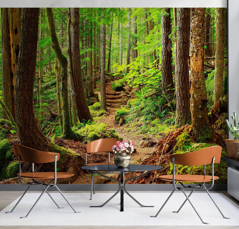 Green Forest Woodland Wall Mural – Nature's Embrace Peel and Stick Wallpaper