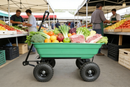 Folding Poly Garden Dump Truck with Steel Frame and Pneumatic Tires by HouseOfZazla