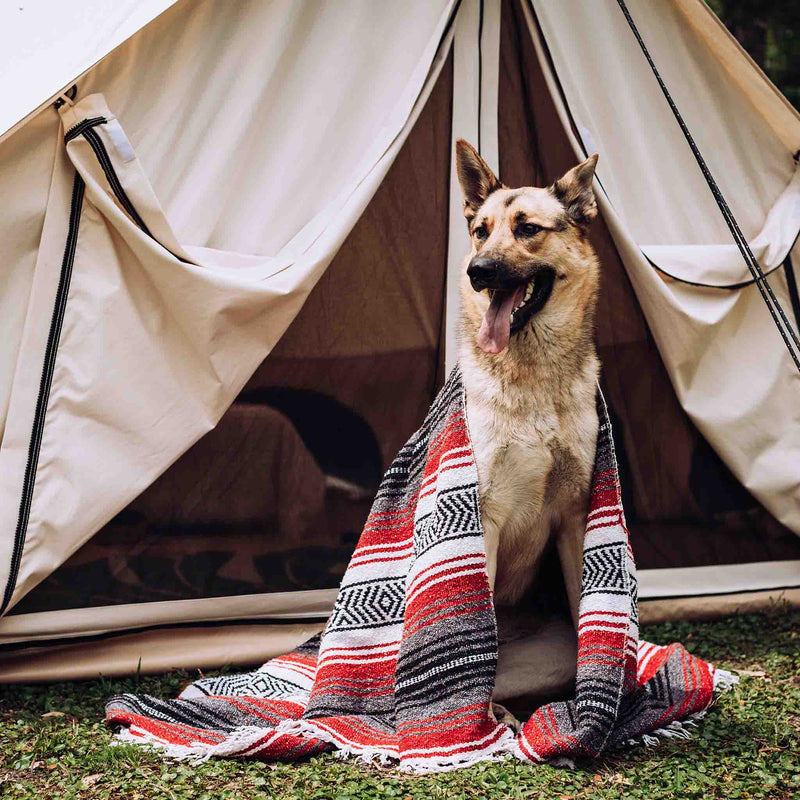 Avalon Bell Tent