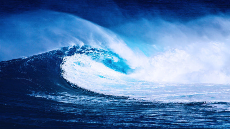 Big Wave Wallpaper. Surf Ocean Wave Wall Mural.