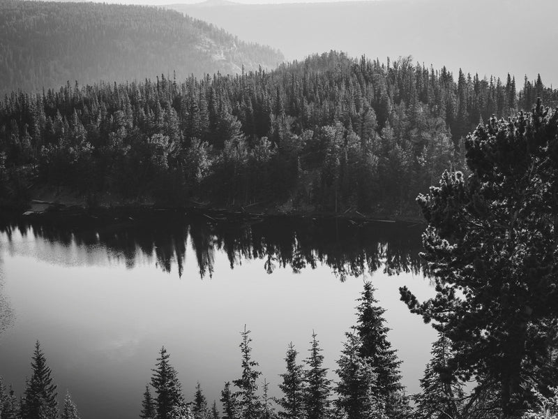 Black and White Mountain Over Looking Lake and Forest Wallpaper.