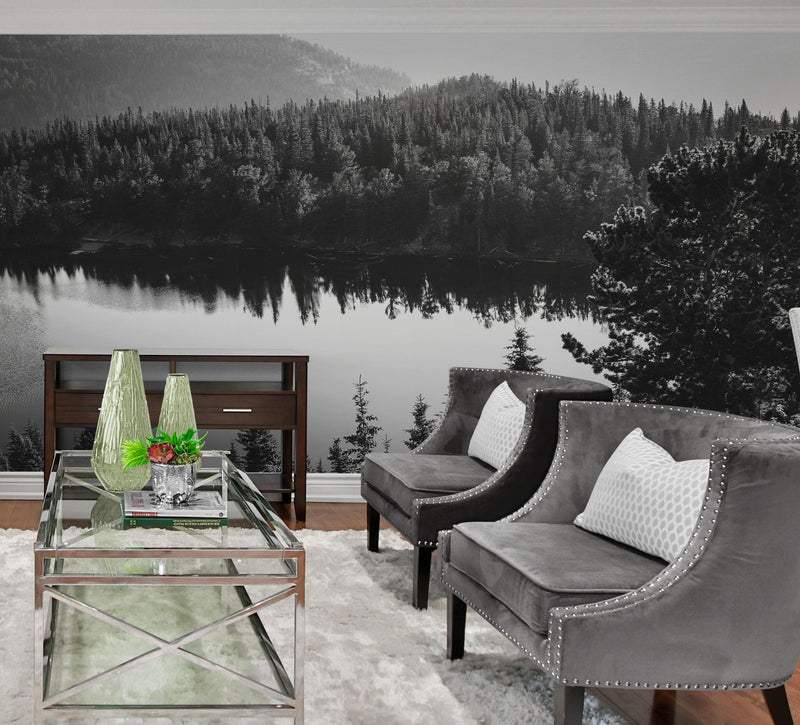 Black and White Mountain Over Looking Lake and Forest Wallpaper.