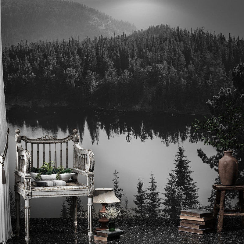 Black and White Mountain Over Looking Lake and Forest Wallpaper.