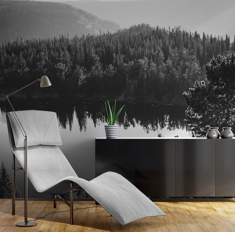 Black and White Mountain Over Looking Lake and Forest Wallpaper.