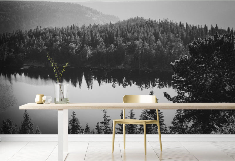 Black and White Mountain Over Looking Lake and Forest Wallpaper.