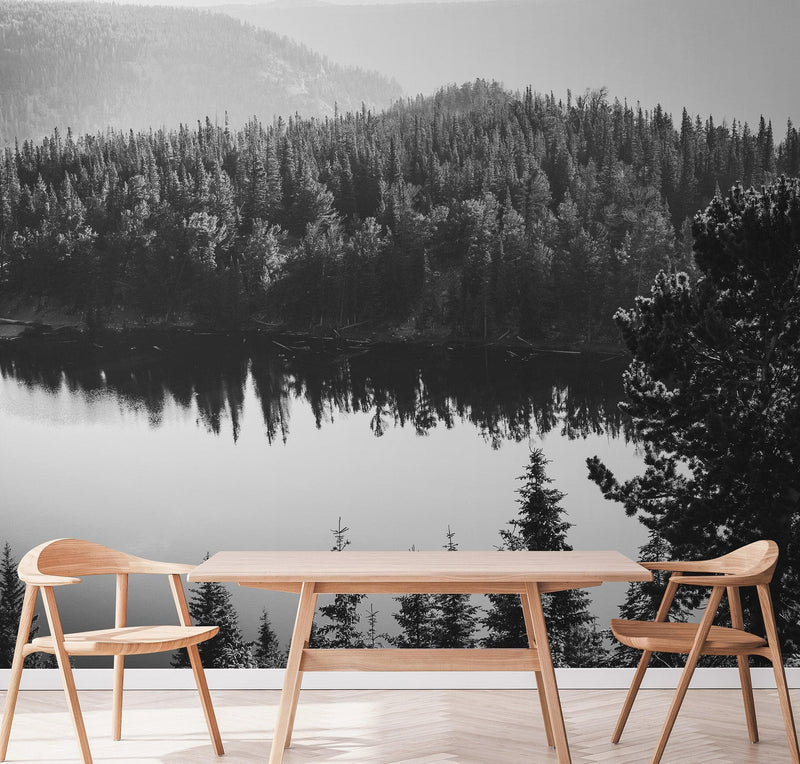 Black and White Mountain Over Looking Lake and Forest Wallpaper.