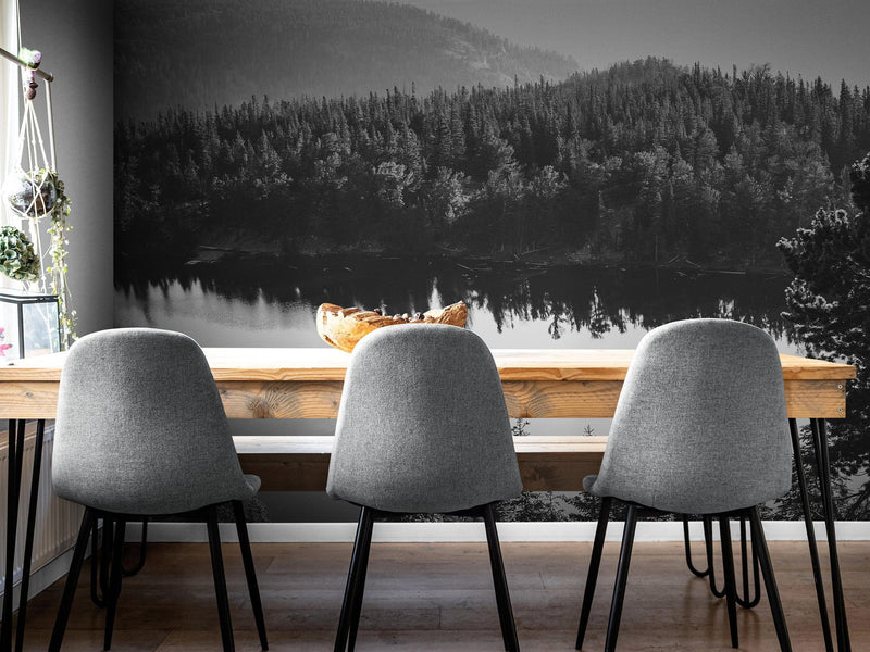 Black and White Mountain Over Looking Lake and Forest Wallpaper.