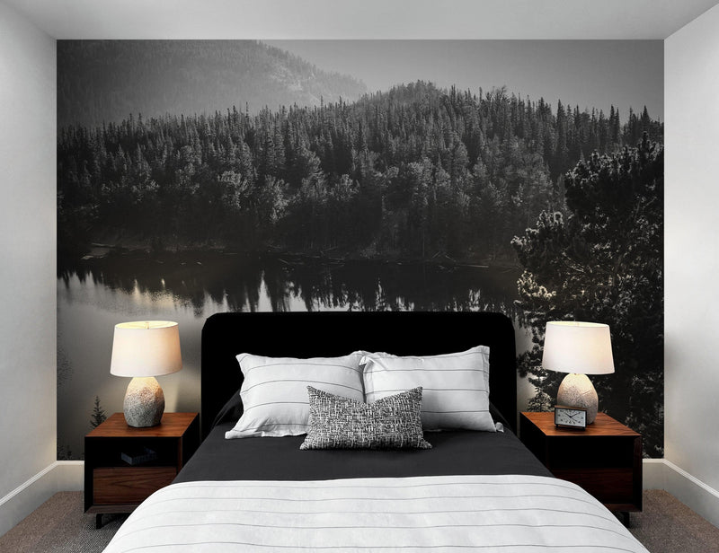 Black and White Mountain Over Looking Lake and Forest Wallpaper.