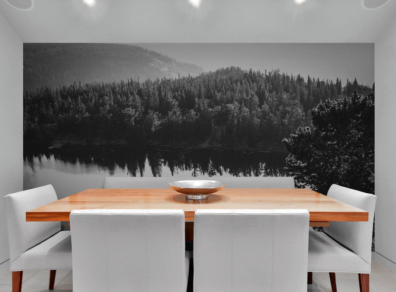 Black and White Mountain Over Looking Lake and Forest Wallpaper.