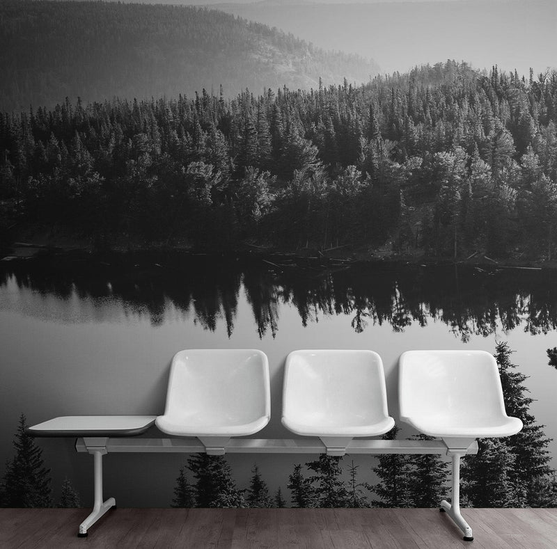 Black and White Mountain Over Looking Lake and Forest Wallpaper.