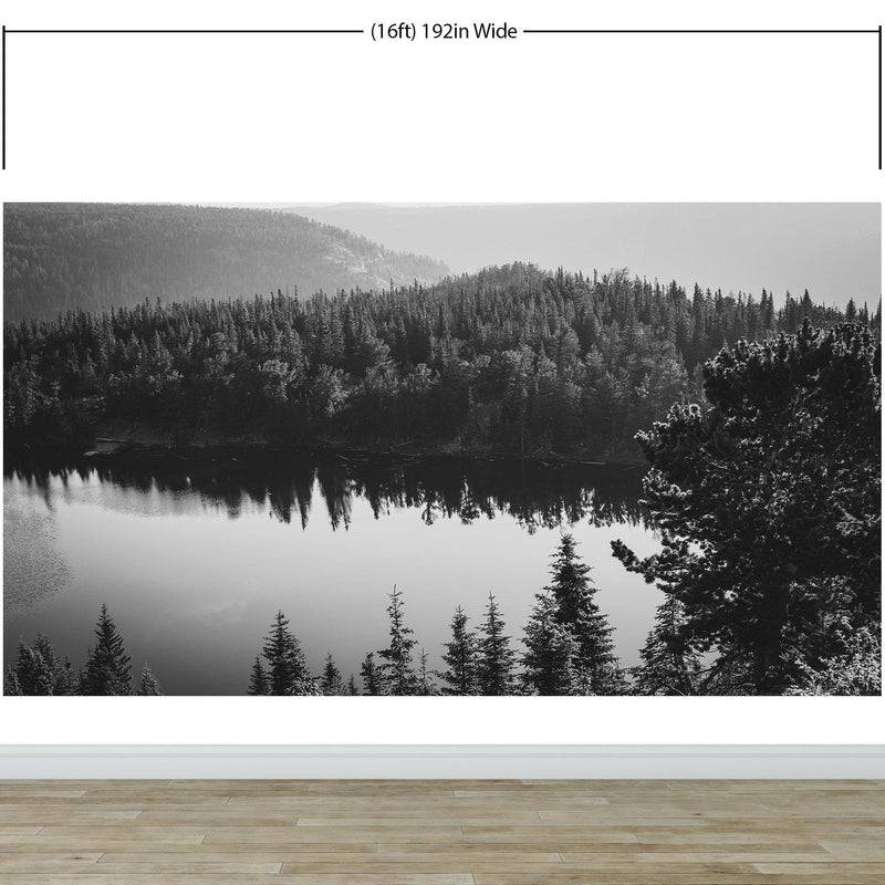 Black and White Mountain Over Looking Lake and Forest Wallpaper.