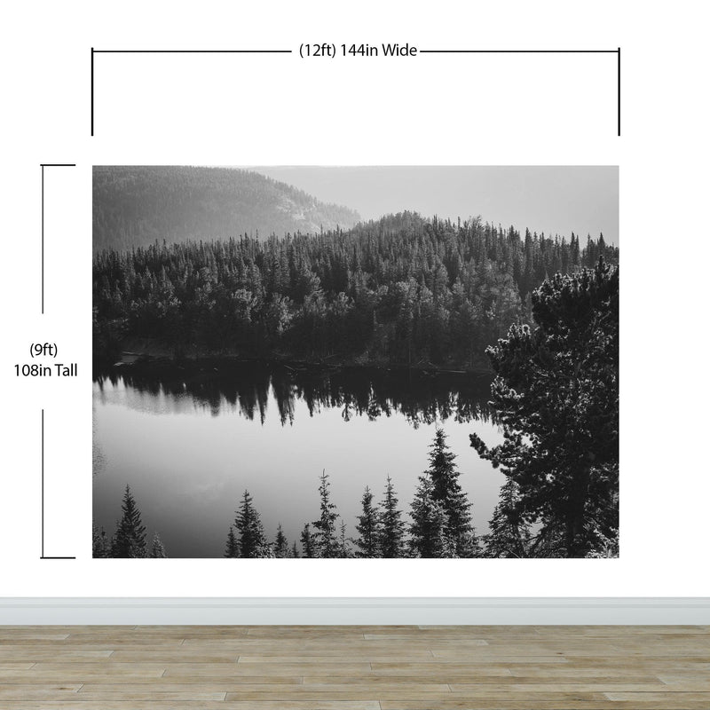 Black and White Mountain Over Looking Lake and Forest Wallpaper.