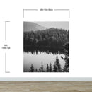Black and White Mountain Over Looking Lake and Forest Wallpaper.