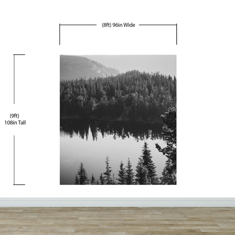 Black and White Mountain Over Looking Lake and Forest Wallpaper.