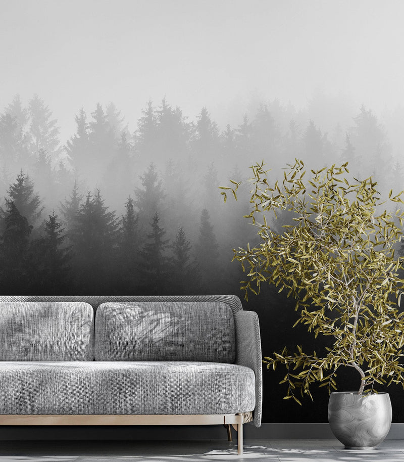 Black and White Misty Pine Forest Wallpaper.