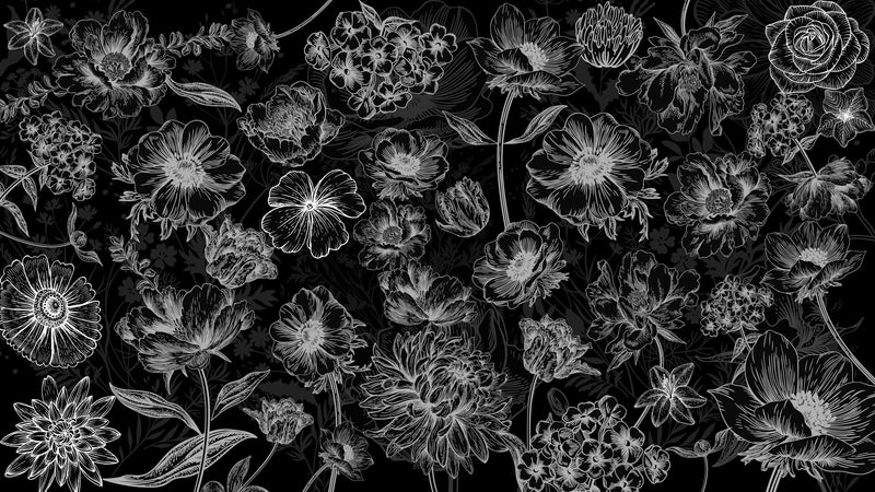 Black Floral Background, Black and White Flower Wallpaper Mural.