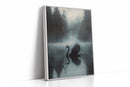 Black Swan in Morning Fog