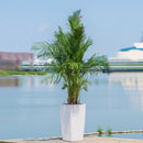 Indoor Outdoor Planter With Automatic Watering System by HouseOfZazla