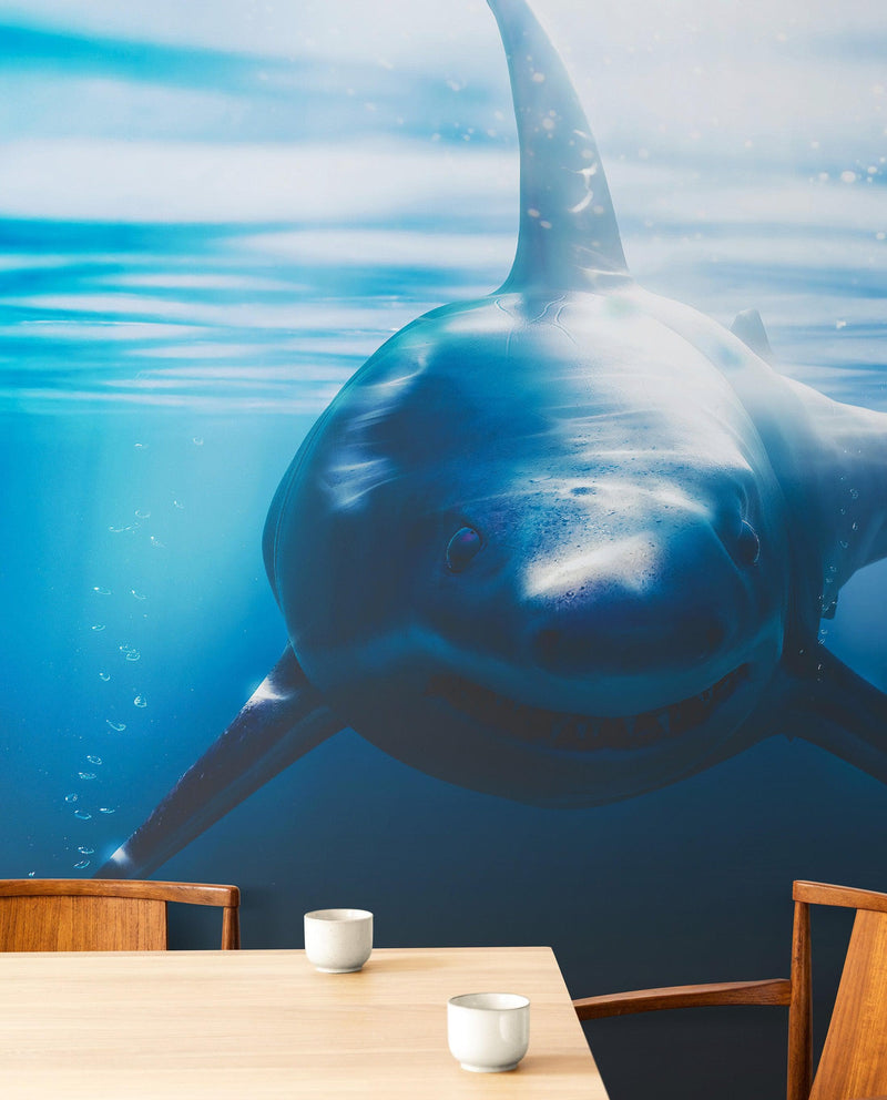 Great White Shark Wall Mural. Peel and Stick Wallpaper.